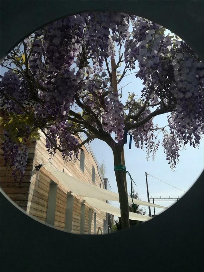 Via Dei Dori B&B Mirano Eksteriør bilde